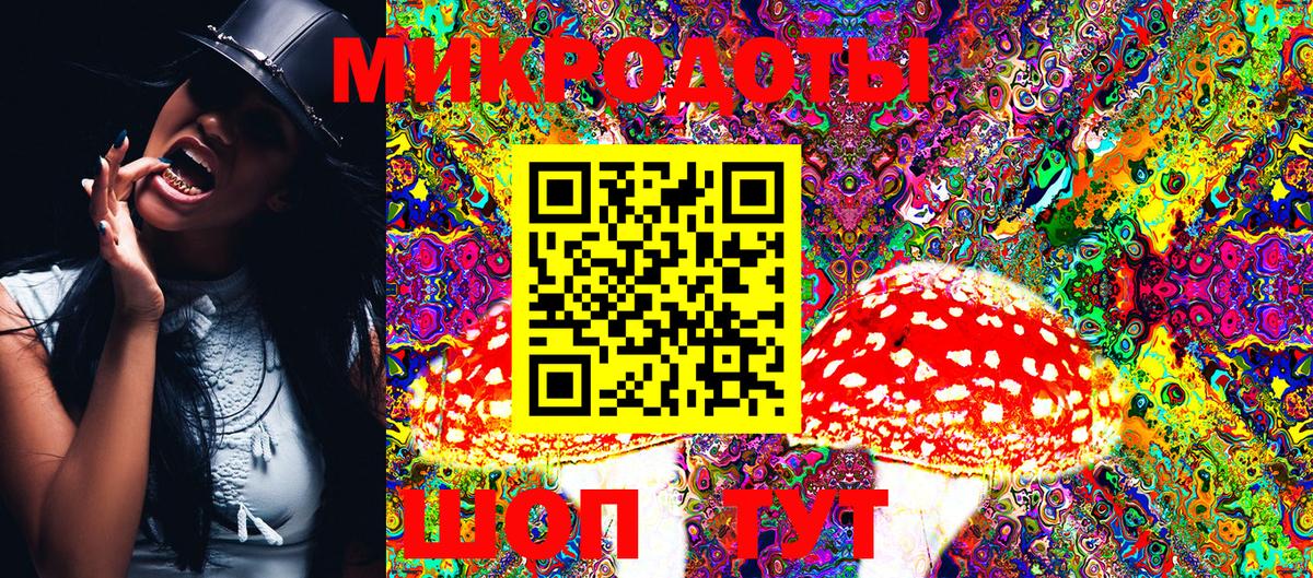 Камышин  Псилоцибиновые грибы MAGIC MUSHROOMS  Вход с VPN 